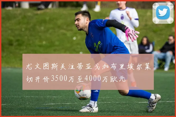 尤文图斯关注蒂亚戈加布里埃尔莱切开价3500万至4000万欧元