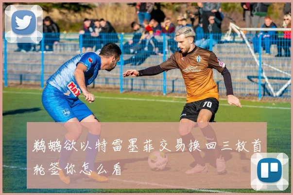 鹈鹕欲以特雷墨菲交易换回三枚首轮签你怎么看